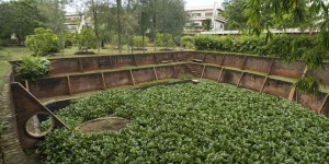 A Pondichéry, les écologistes contre l’AFD et un projet de forage de puits