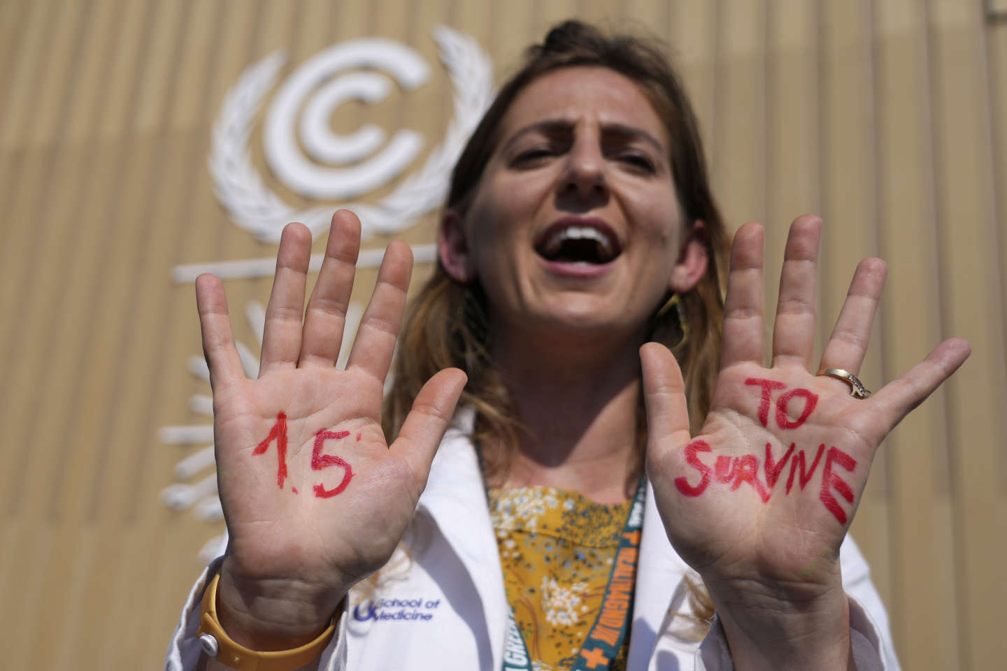 La COP27, entre espoirs et désespoir