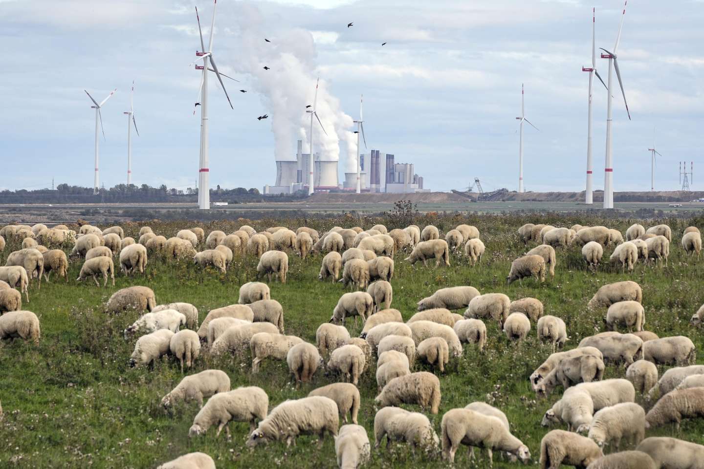 COP27 : le Green Deal européen mis à l’épreuve par la guerre en Ukraine