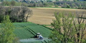 Les « coûts cachés » des pesticides s’élèveraient de 370 millions à plusieurs milliards d’euros par an pour la France