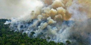 « Les entreprises françaises doivent faire leur part contre la déforestation au Brésil »