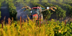 La légalité des autorisations de pesticides en France et en Europe en question