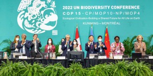Biodiversité : au-delà des promesses, le combat n’est pas gagné