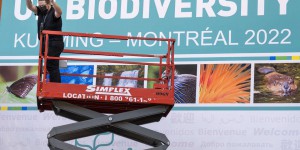 COP15 : le Canada entend jouer les premiers rôles dans la protection de la biodiversité