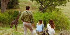 « Instinct animal », sur France 2 : Julie de Bona au plus près de la faune dans le Serengeti