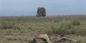 Au Kenya, la sécheresse décime les animaux sauvages dans les parcs nationaux