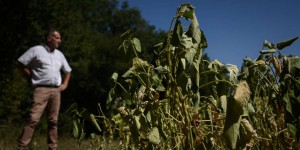 ​Cancers pédiatriques en ​​Charente-Maritime : une médiation inédite sur l’usage des pesticides