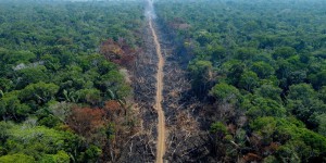La forêt amazonienne est détruite à un rythme sans précédent sous l’effet des activités humaines