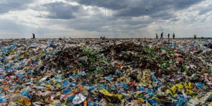 L’Angleterre va interdire la vaisselle en plastique à usage unique