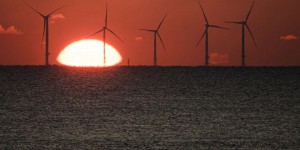 Projet de loi sur les énergies renouvelables : les députés écologistes décident de s’abstenir
