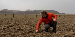 Après l’interdiction des néonicotinoïdes, les cultivateurs de betteraves du Pas-de-Calais tiraillés entre le bio et l’agriculture conventionnelle