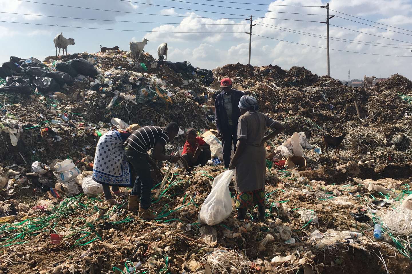 Une fondation dénonce le « déluge de vêtements usagés » contenant du plastique envoyés au Kenya