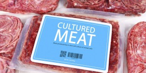 « L’essor de la “viande de synthèse” repose sur peu de données scientifiques »