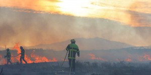 Pyrénées-Orientales : 60 hectares brûlés dans un incendie fixé
