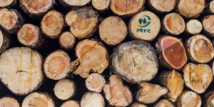 Une enquête révèle les failles du système de certification du bois « responsable »