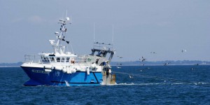 Chalutage dans les aires marines protégées : la visite à Bruxelles du secrétaire d’Etat chargé de la mer n’éteint pas la polémique