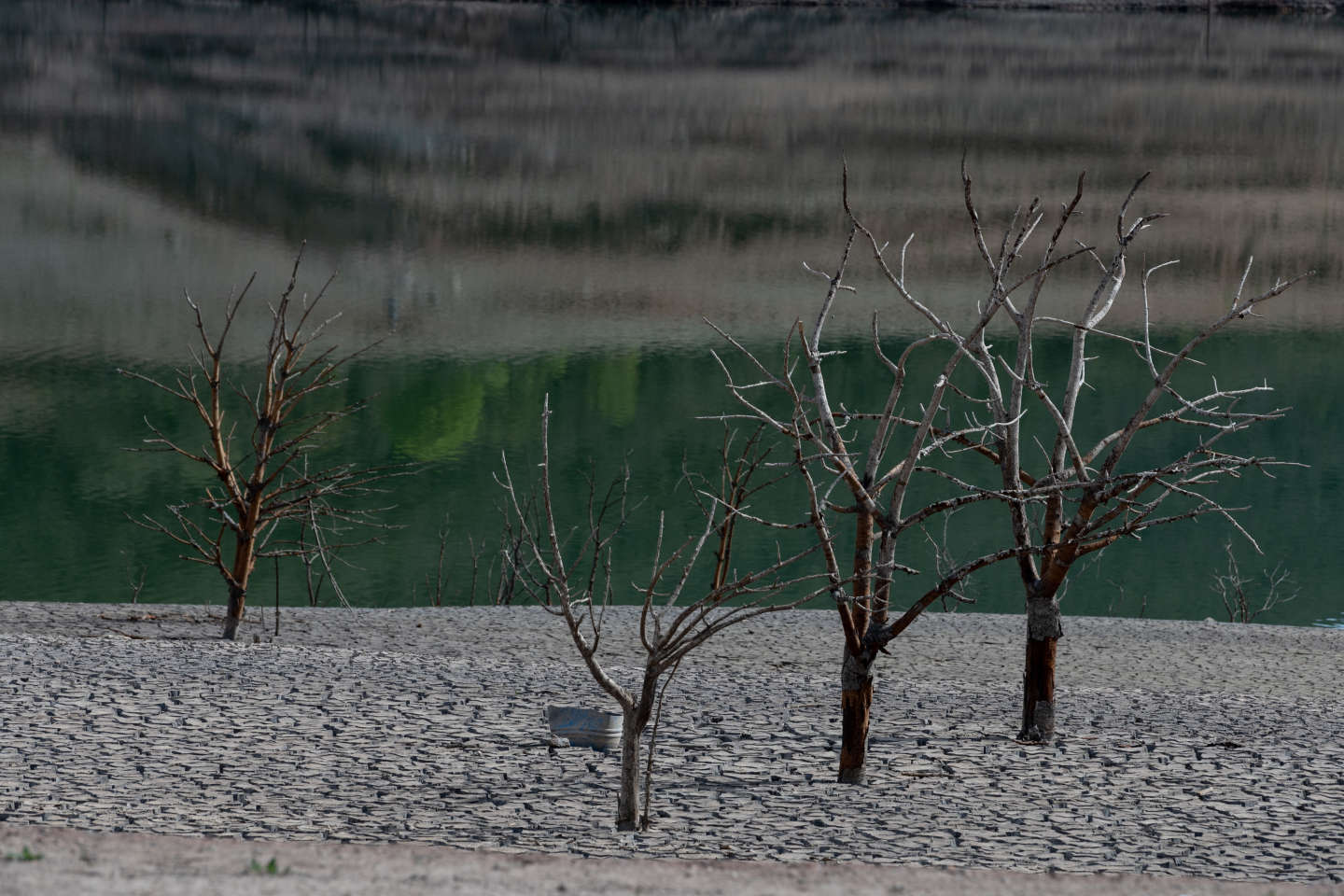 Climat : la Catalogne, assoiffée par plus de trente mois d’une sécheresse historique