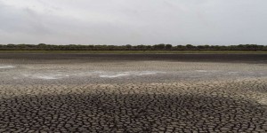 En Espagne, la culture intensive de la fraise menace la zone humide de Doñana, patrimoine de l’humanité