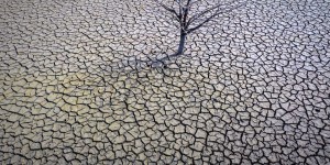 « Si la gestion de l’eau ne change pas en Espagne, le pays deviendra un désert »