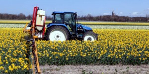L’agence environnementale de l’Union européenne déplore une consommation encore trop importante de pesticides