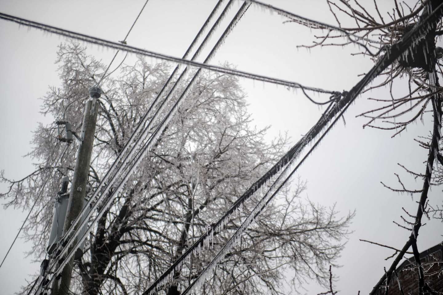 Tempête de glace au Canada : des centaines de milliers de foyers toujours privés d’électricité dans l’est du pays