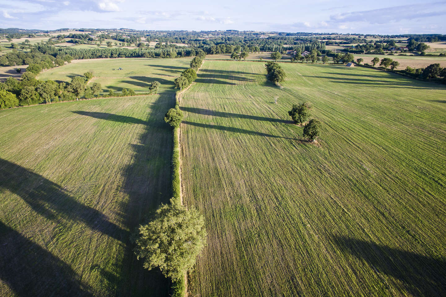 En France, un renchérissement des terres agricoles en 2022