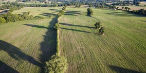 En France, un renchérissement des terres agricoles en 2022
