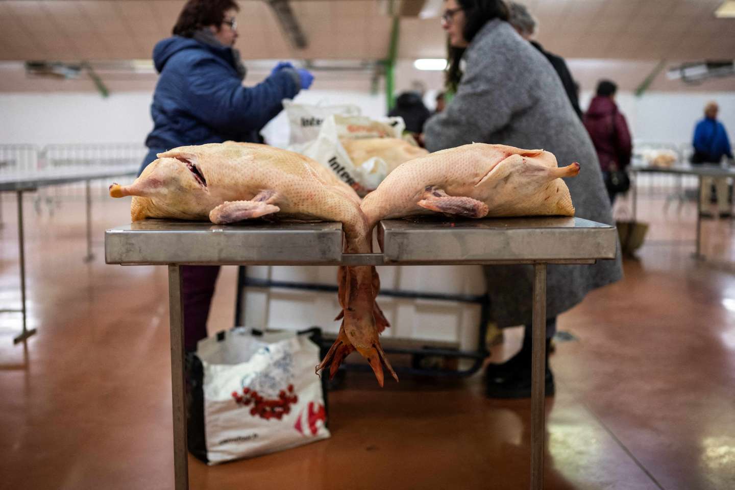 Grippe aviaire : nouveaux cas dans le Sud-Ouest