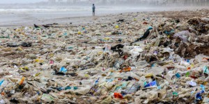 L’Inde, empoisonnée par le plastique, tente d’en venir à bout : « Dans la nature, c’est un tueur »