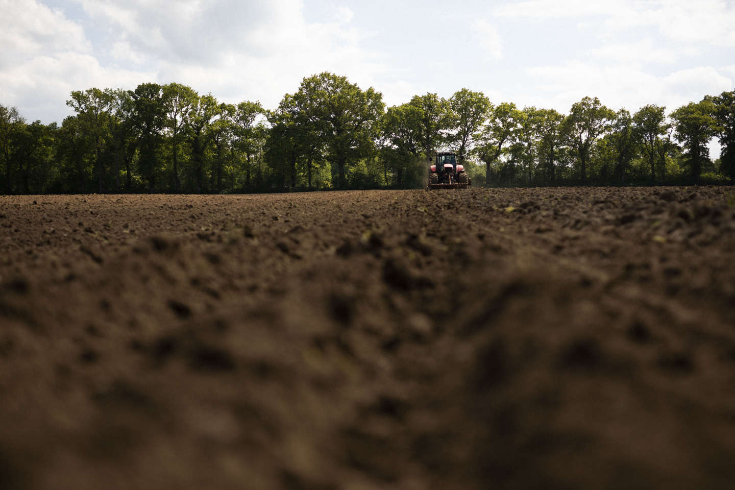 Une présence généralisée des pesticides dans les sols agricoles de France, selon une étude-pilote