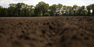Une présence généralisée des pesticides dans les sols agricoles de France, selon une étude-pilote