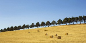 Union européenne : « L’avenir de notre agriculture dépend de la bonne santé des écosystèmes »