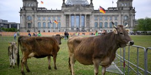 En Allemagne, le bio a reculé pour la première fois de son histoire en 2022
