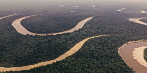 Au Brésil, des terres de l’Amazonie à vendre sur Facebook