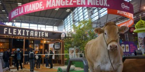 Pourquoi la consommation de viande ne baisse plus en France depuis dix ans