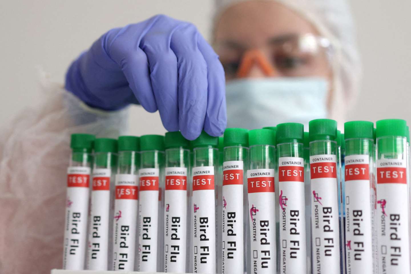 Grippe aviaire : la campagne de vaccination reste prévue pour octobre, selon le ministre de l’agriculture