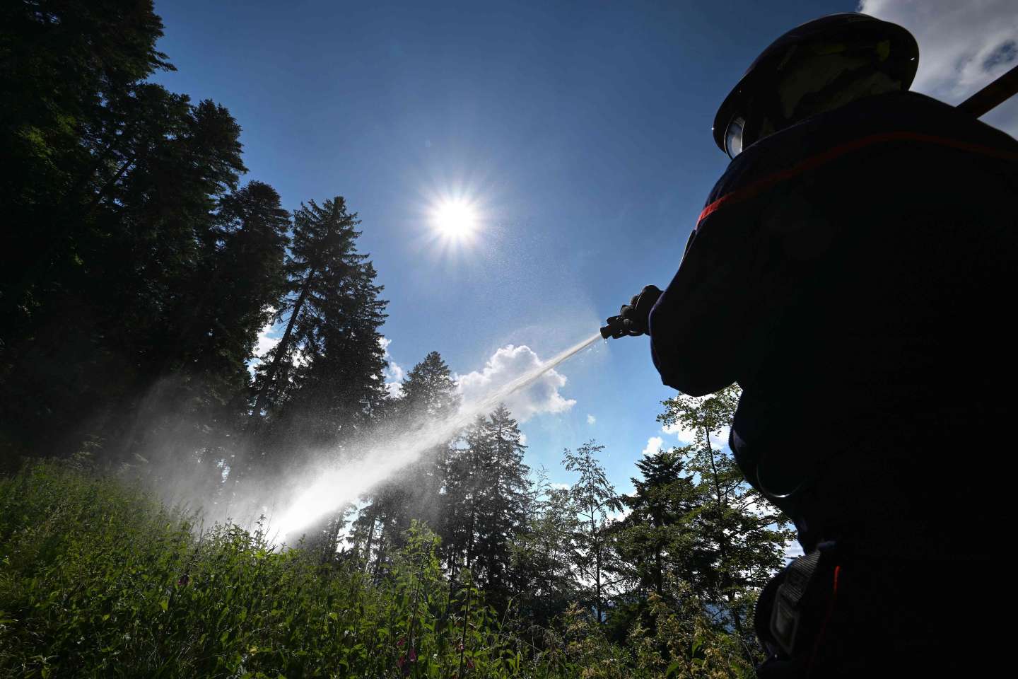 Incendie dans les Vosges, une dizaine d’hectares détruits