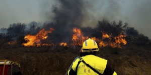 La « météo des forêts », une nouvelle carte pour alerter sur les risques de départ d’incendies