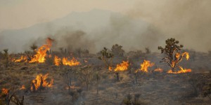 Aux Etats-Unis, un incendie de 300 kilomètres carrés en Californie et au Nevada