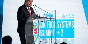 Face à la crise alimentaire, l’ONU convoque à Rome un sommet sous tension