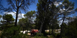Incendies et canicule en direct : dans le Var, placé en alerte rouge feux de forêts, huit massifs forestiers interdits d’accès dimanche
