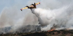 Incendies et canicule, en direct : en Grèce, « l’écosystème en danger » ; les pompiers gardent la situation sous contrôle