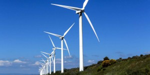 « L’éolien et le solaire constituent le plus important levier d’action contre le dérèglement climatique »