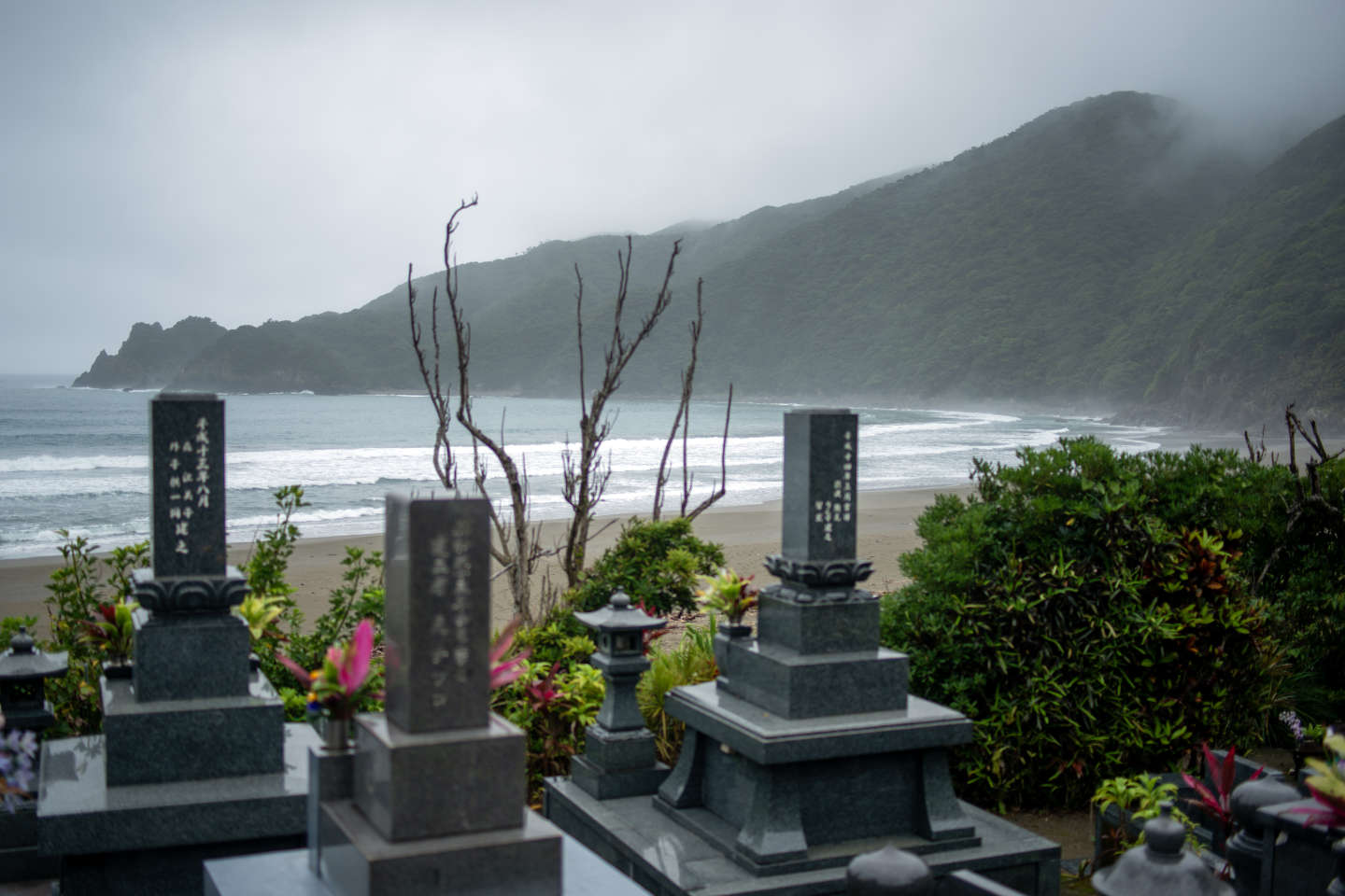 L’une des dernières plages du Japon sans béton menacée par la construction d’une digue