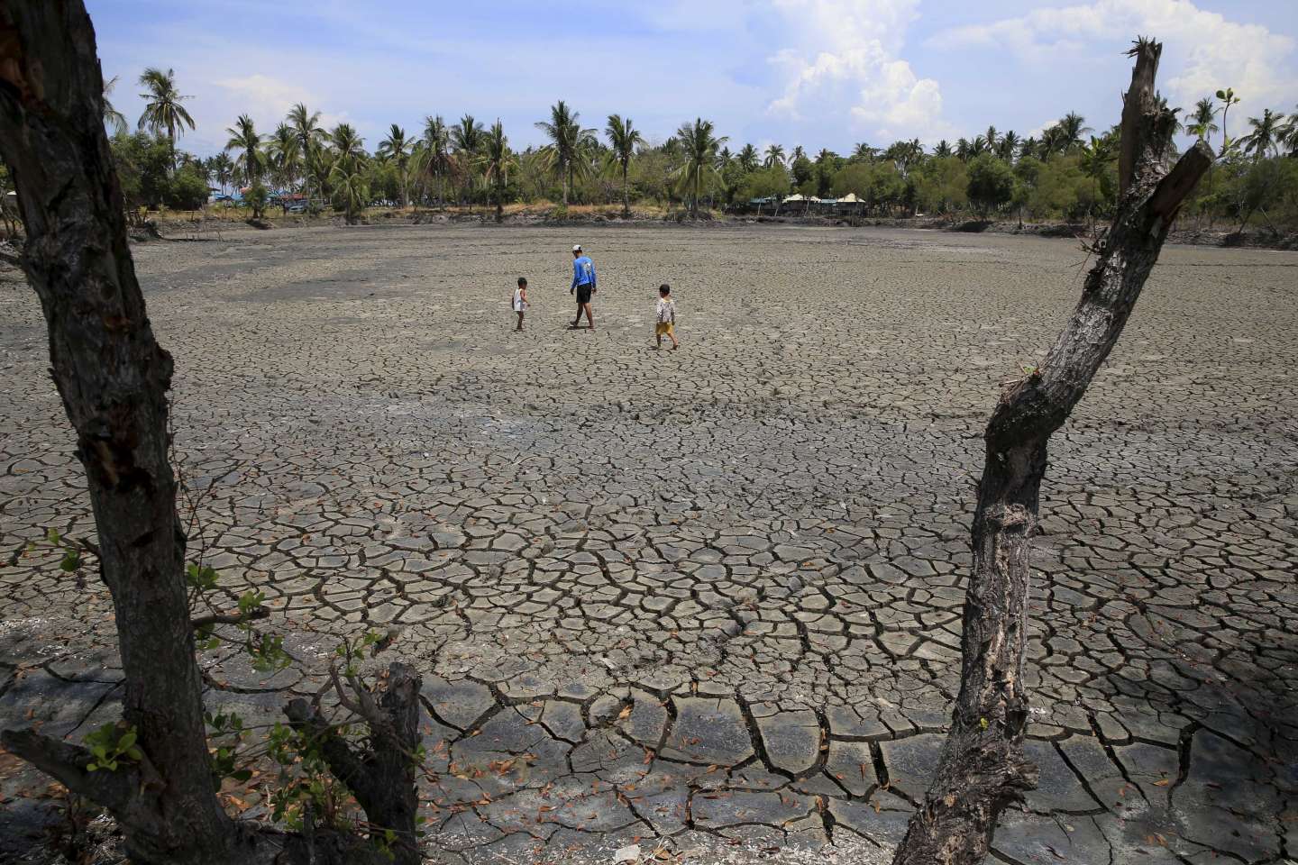 Le phénomène El Niño s’est installé et sera de force « au moins modérée », selon l’Organisation météorologique mondiale