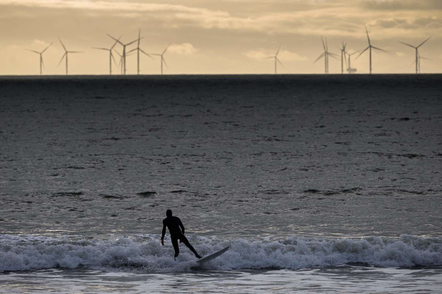 « La réussite sociétale de l’éolien en mer est conditionnée au respect des sites “Natura 2000” »