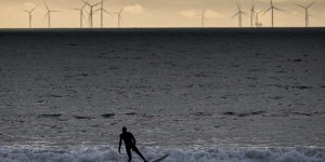 « La réussite sociétale de l’éolien en mer est conditionnée au respect des sites “Natura 2000” »