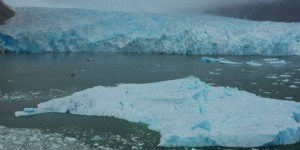 « Une situation de danger » : la fonte des glaces frappe l’Antarctique, jusqu’ici relativement préservé