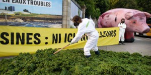 Une tonne d’algues vertes déversée devant la préfecture du Finistère pour dénoncer la pollution chronique des plages bretonnes