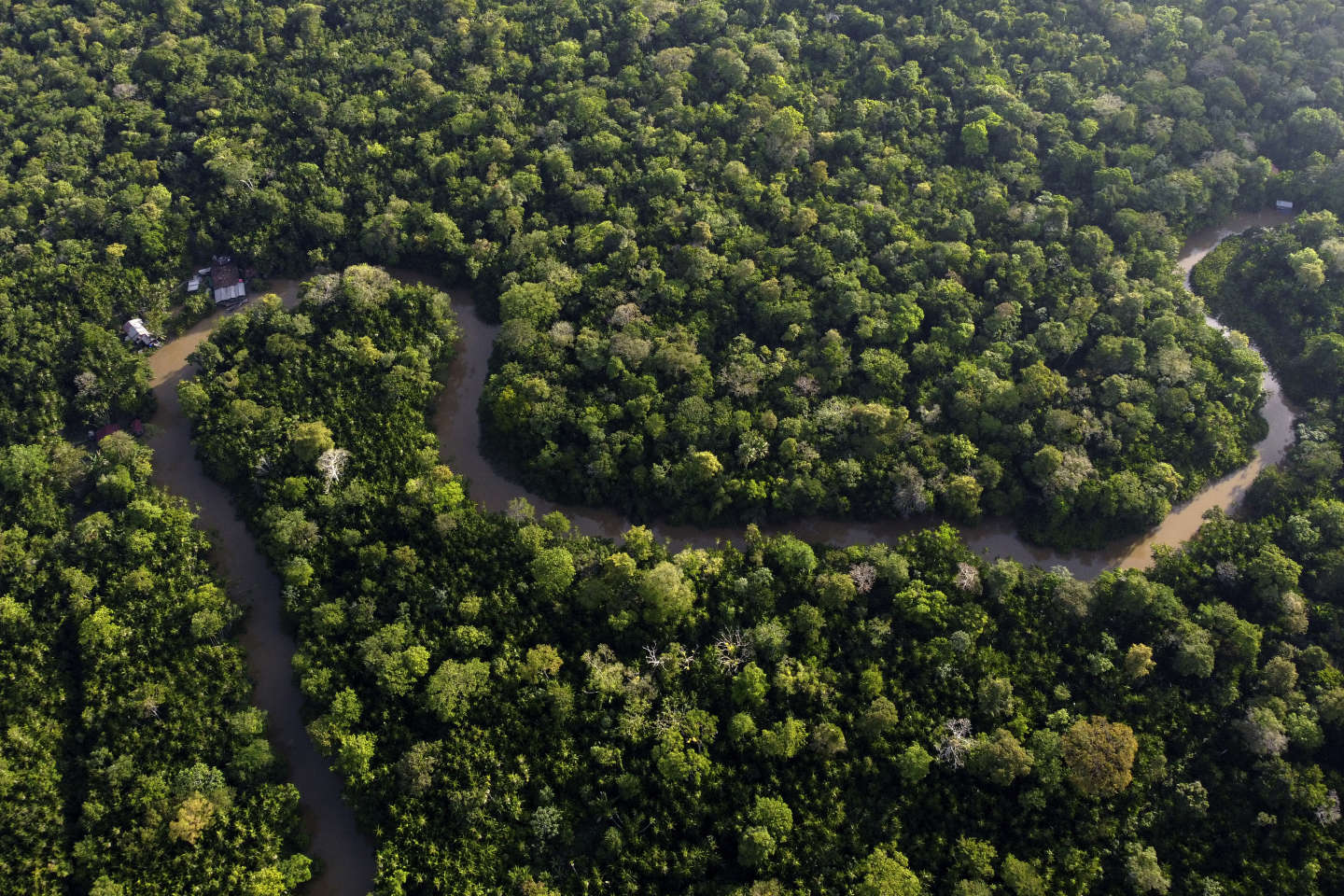 Au Brésil, un sommet régional pour sauver l’Amazonie : « Nous ne pouvons pas permettre qu’elle atteigne le point de non-retour »